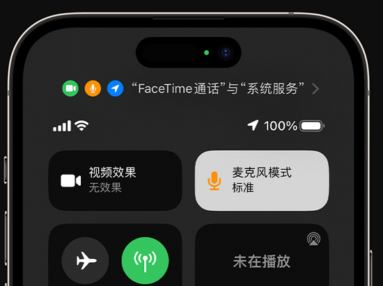 饶平苹果授权维修网点分享iPhone在通话时让你的声音更清晰 