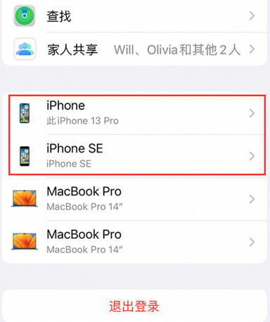 饶平苹饶平果维修网点分享iPhone如何查询序列号