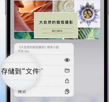 饶平apple维修中心分享iPhone文件应用中存储和找到下载文件