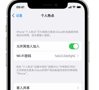 饶平apple服务站点分享iPhone上个人热点丢失了怎么办 