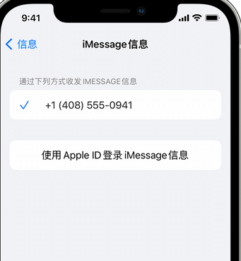 饶平apple维修iPhone上无法正常发送iMessage信息