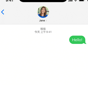 饶平apple维修iPhone上无法正常发送iMessage信息