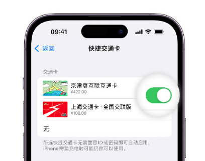 饶平apple维修点分享iPhone上更换Apple Pay快捷交通卡手绘卡面 