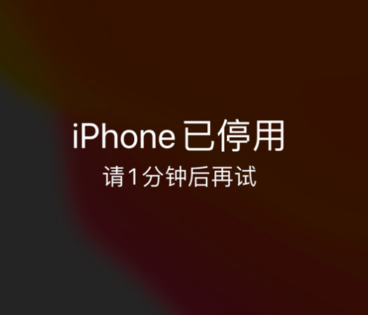 饶平苹果手机维修分享:iPhone 显示“不可用”或“已停用”怎么办？还能保留数据吗？ 