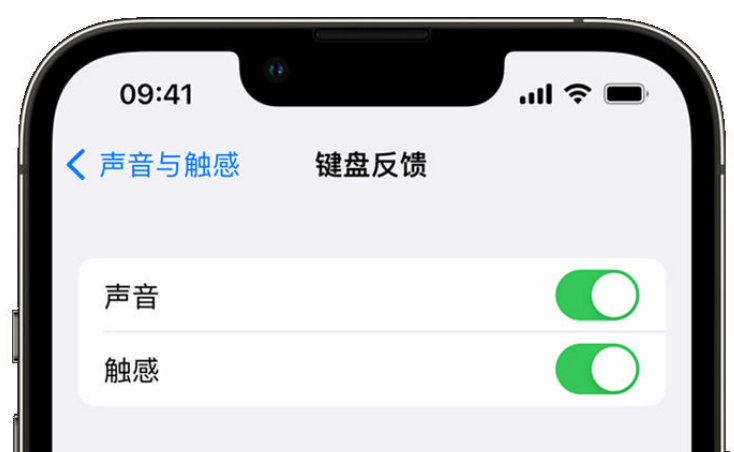 饶平苹果手机维修分享iPhone 14触感键盘使用方法 