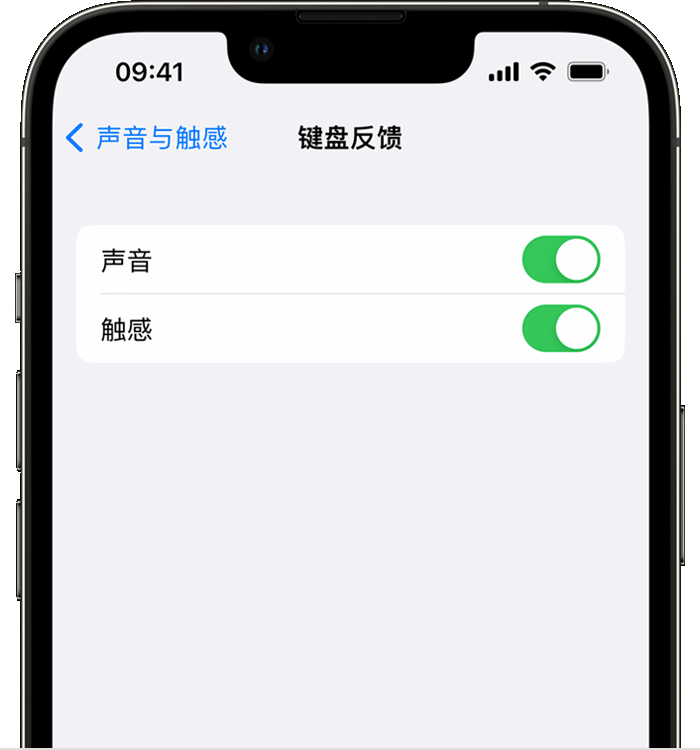 饶平苹果14维修店分享如何在 iPhone 14 机型中使用触感键盘 