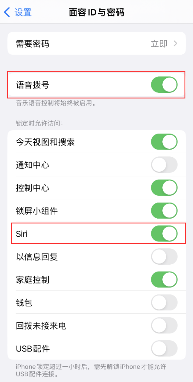 饶平苹果维修网点分享不解锁 iPhone 的情况下通过 Siri 拨打电话的方法 