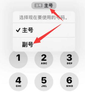 饶平苹果14维修店分享iPhone 14 Pro Max使用副卡打电话的方法 