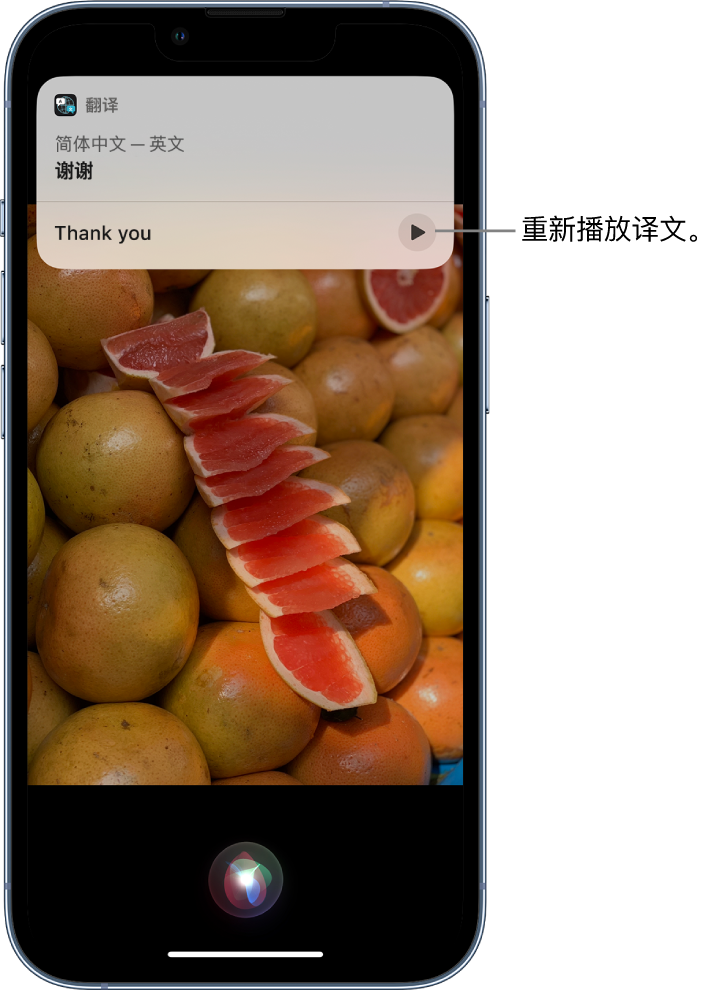 饶平苹果14维修分享 iPhone 14 机型中使用 Siri：了解 Siri 能帮你做什么 