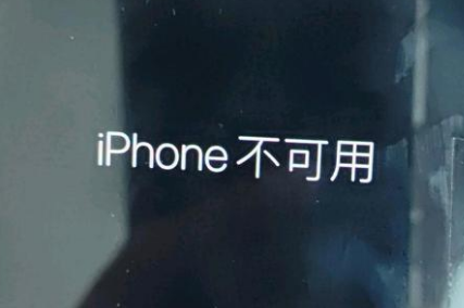 饶平苹果服务网点分享锁屏界面显示“iPhone 不可用”如何解决 