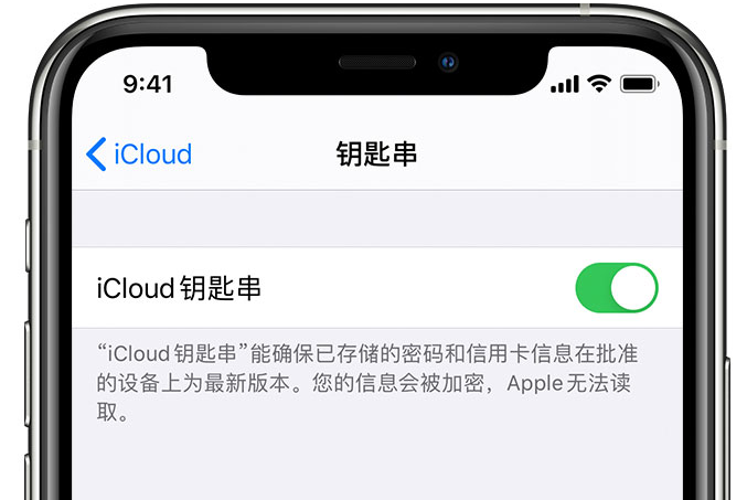 饶平苹果手机维修分享在 iPhone 上开启 iCloud 钥匙串之后会储存哪些信息 