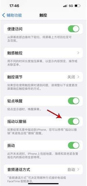 饶平苹果手机维修分享iPhone手机如何设置摇一摇删除文字 