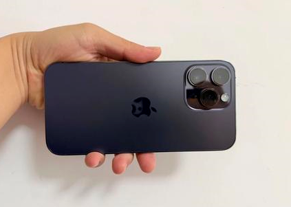 饶平苹果维修点分享iPhone 14 Pro Max黑屏少见故障盘点 